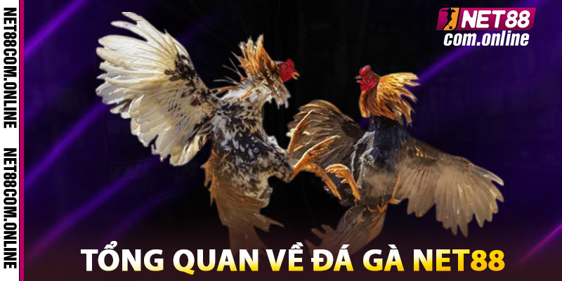 Tổng Quan Về Đá Gà NET88